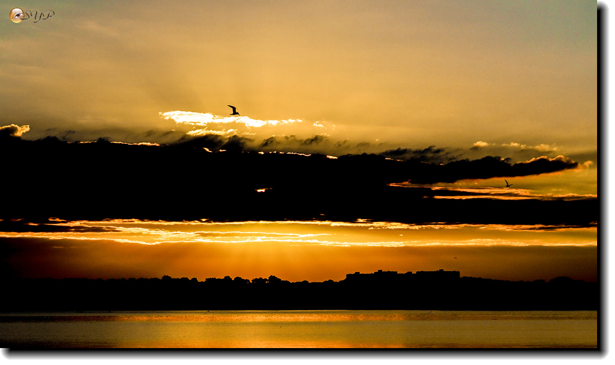 DSC05371_.jpg