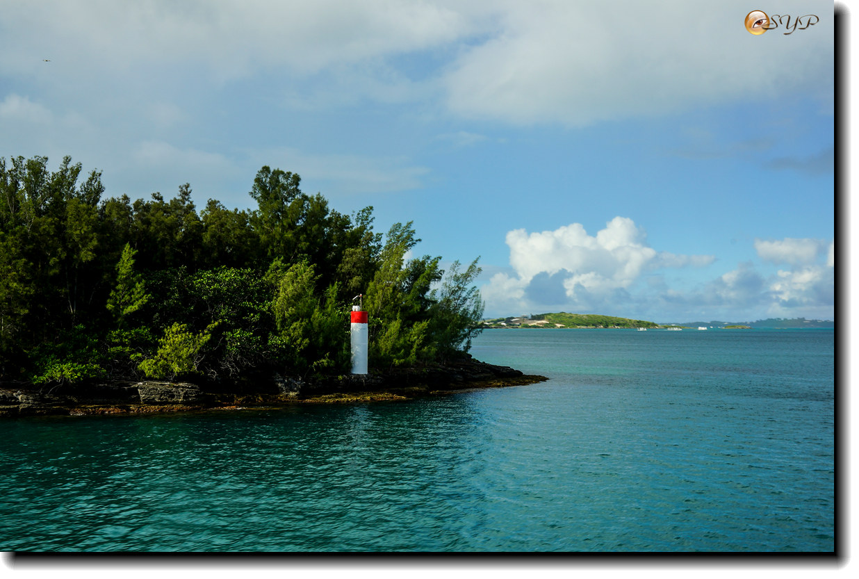 DSC06512_.jpg