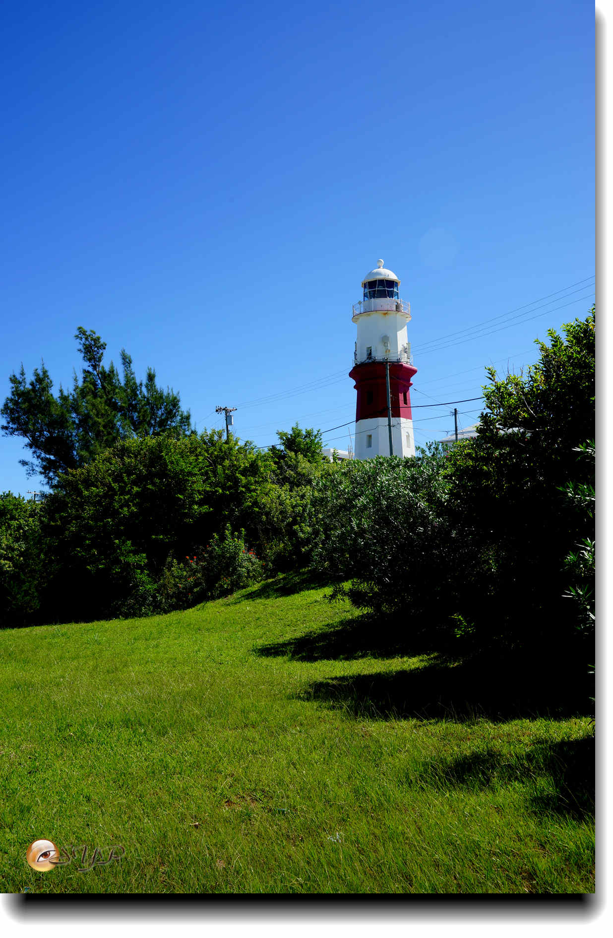 DSC06665_.jpg