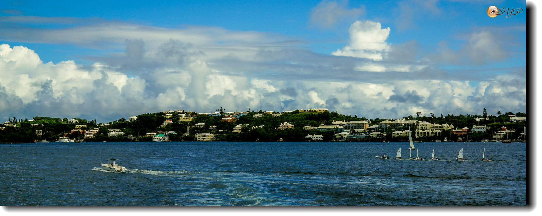 DSC06762_.jpg