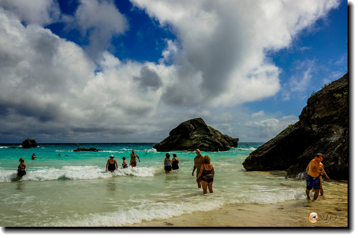 DSC06261_.jpg