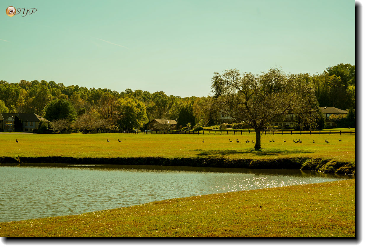 DSC08376_.jpg