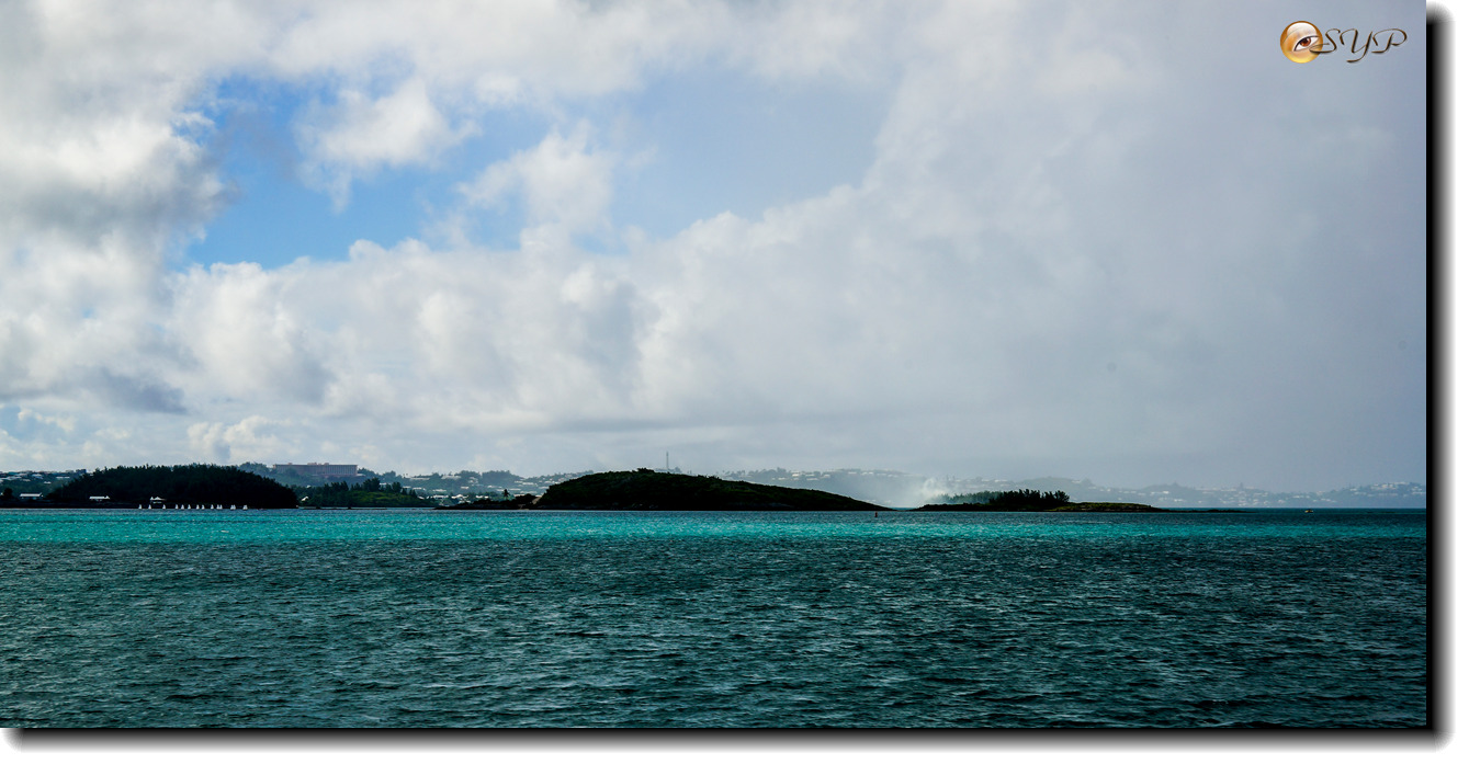 DSC06499_.jpg
