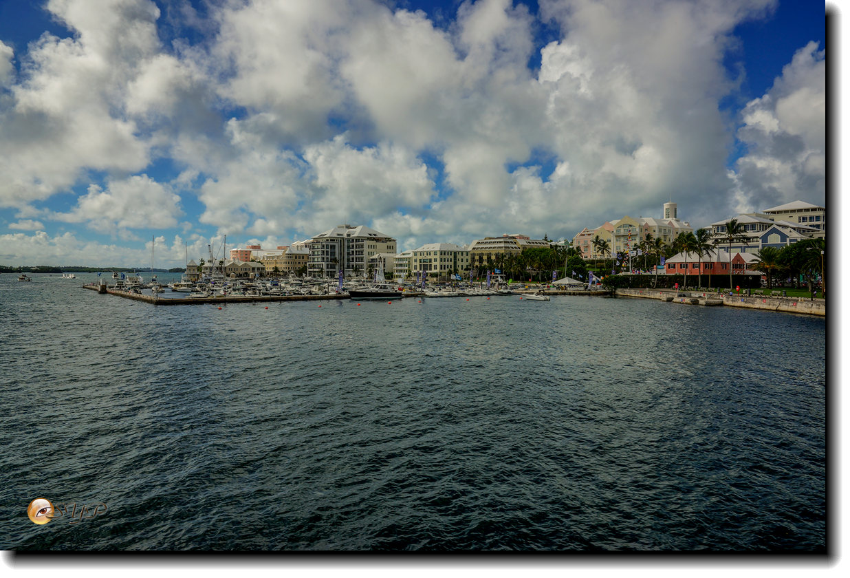 DSC06714_.jpg