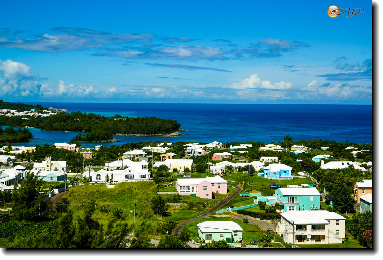 DSC06657_.jpg