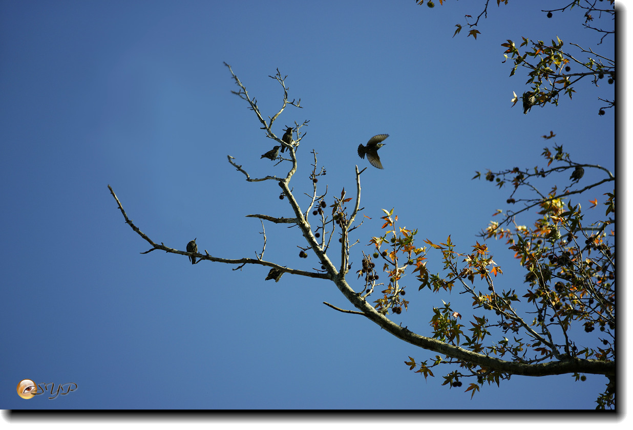 DSC08446_.jpg