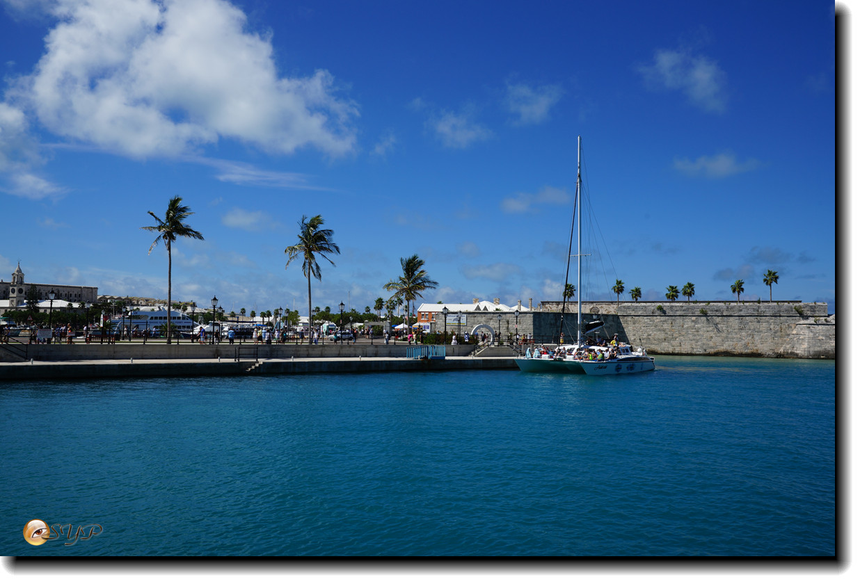 DSC07048_.jpg