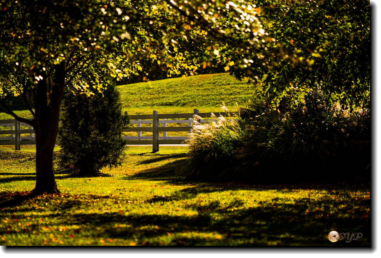 DSC08727_.jpg