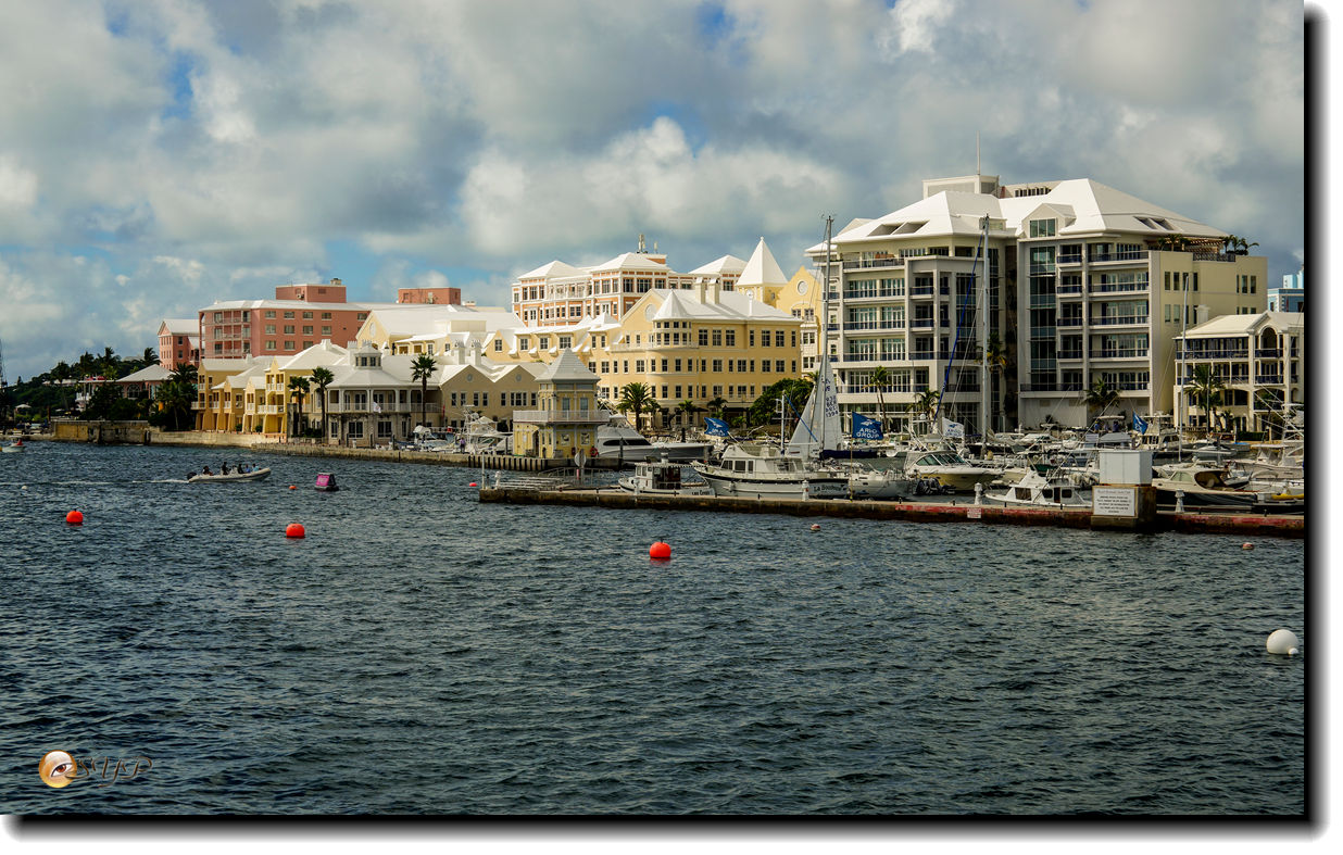 DSC06718_.jpg