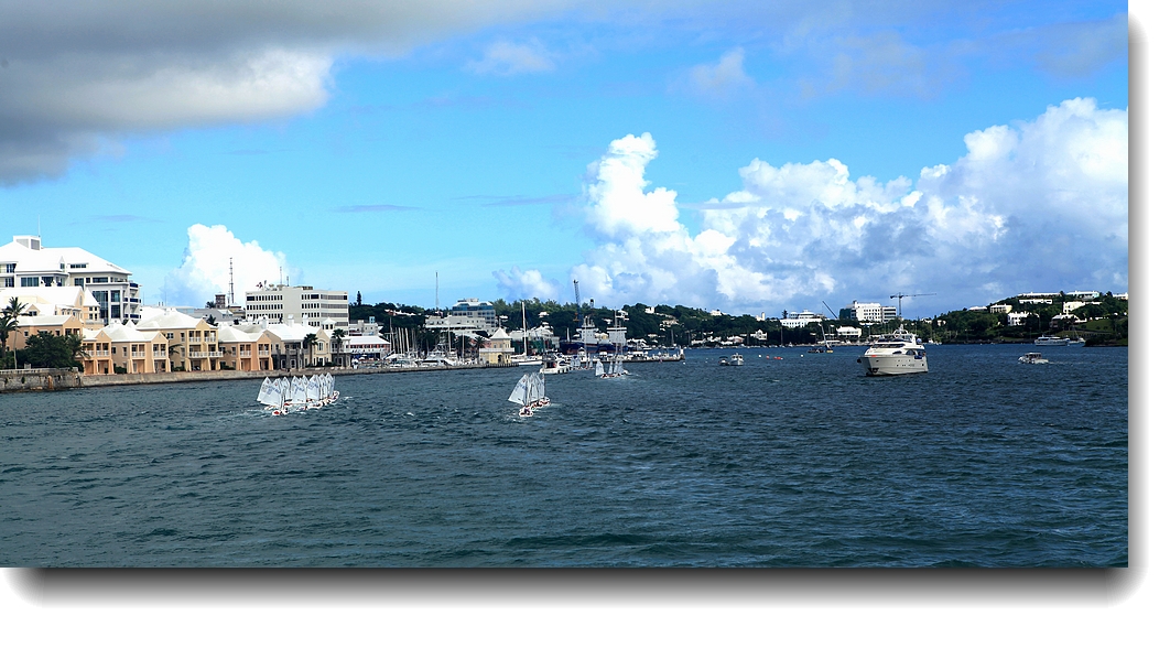 IMG_8913a.jpg