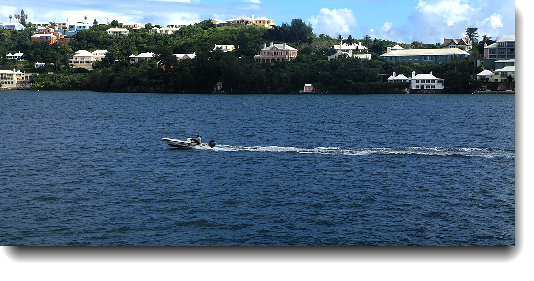 IMG_8899a.jpg