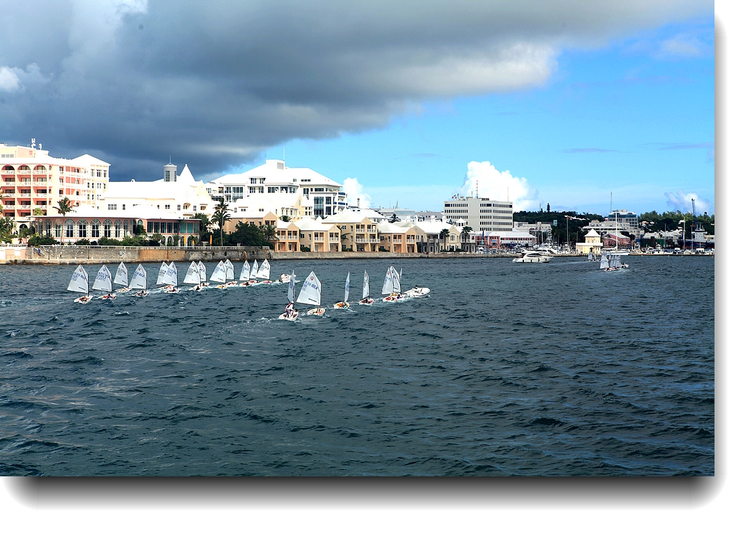 IMG_8911a.jpg