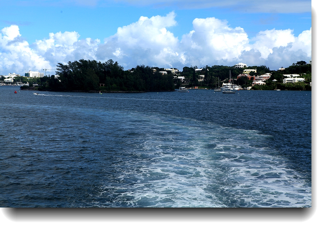 IMG_8901a.jpg
