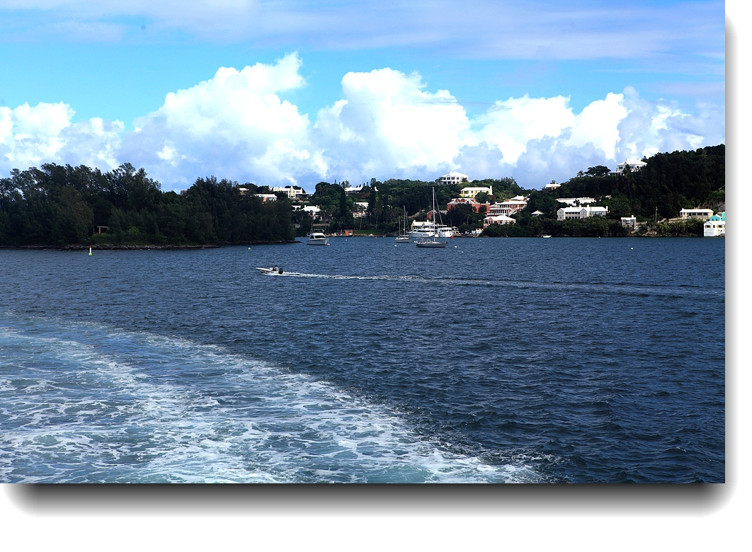 IMG_8900a.jpg