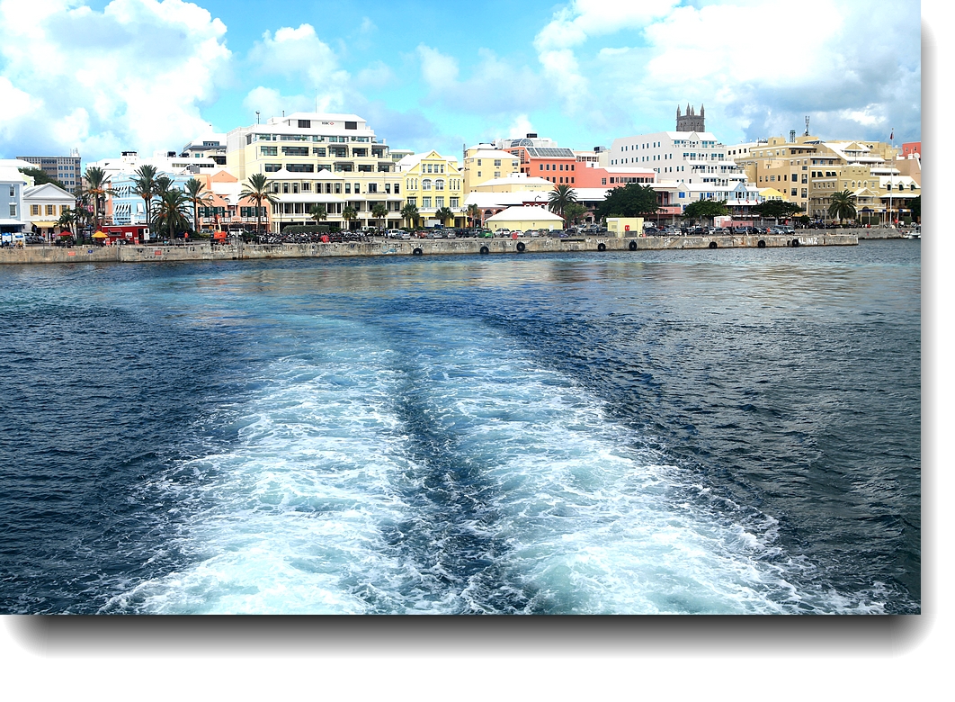 IMG_8893a.jpg