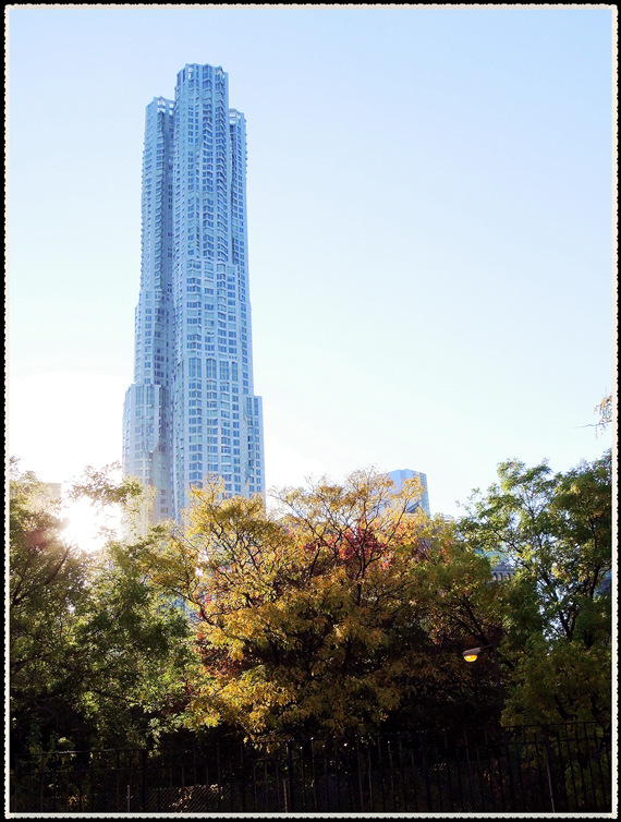 DSCN9568.jpg
