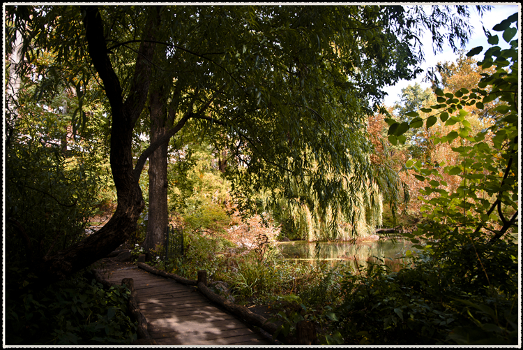 DSC_0749.jpg