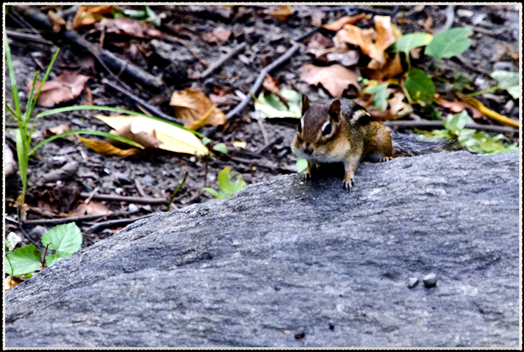 DSC_0760.jpg