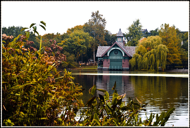 DSC_0359.jpg