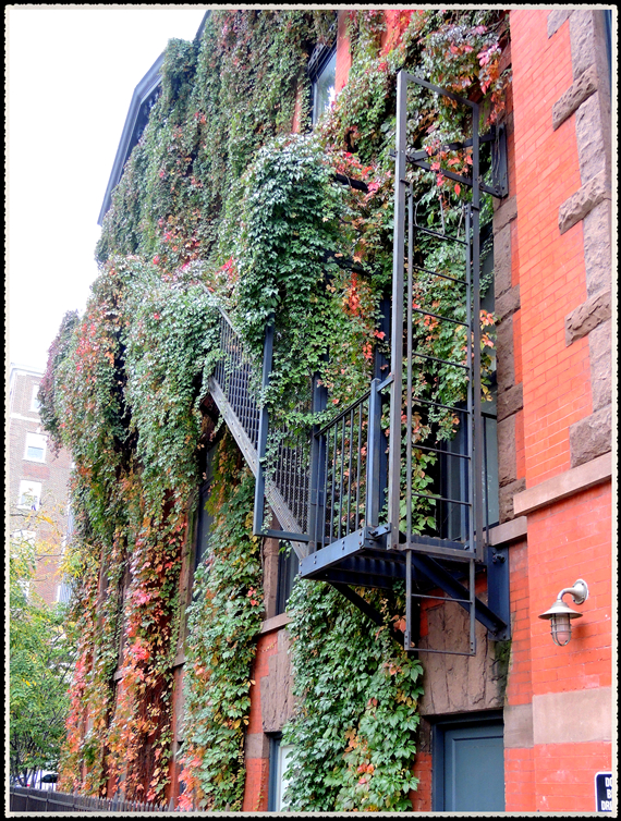 DSCN8708.jpg