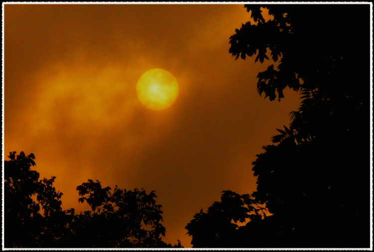 DSCN8232.jpg