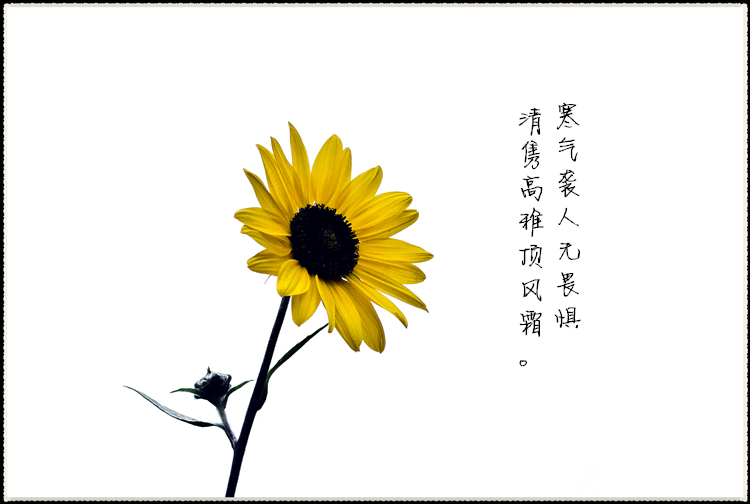 DSC_0467_����.jpg