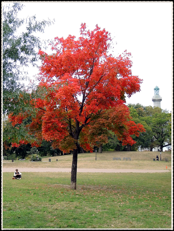 DSCN9533.jpg
