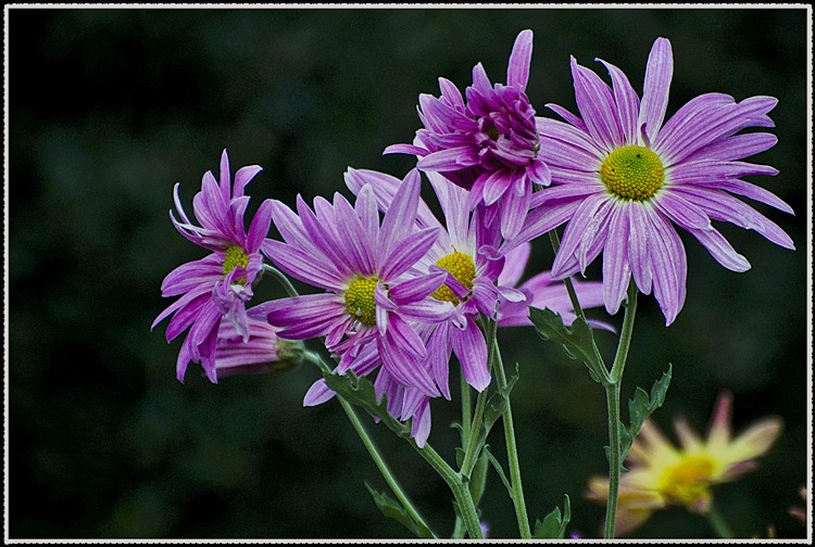 DSC_1034.jpg