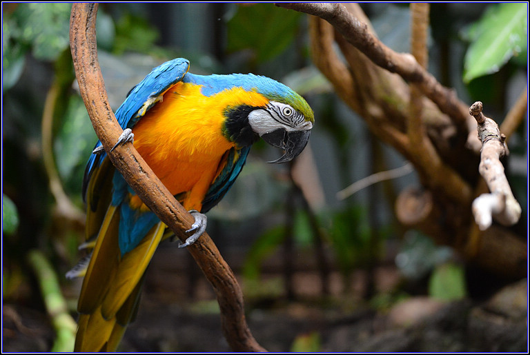 DSC_0130.jpg