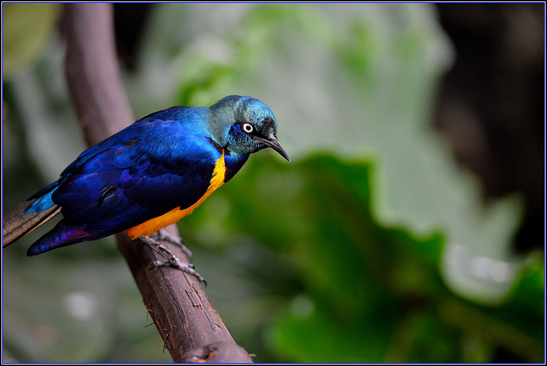 DSC_0115.jpg