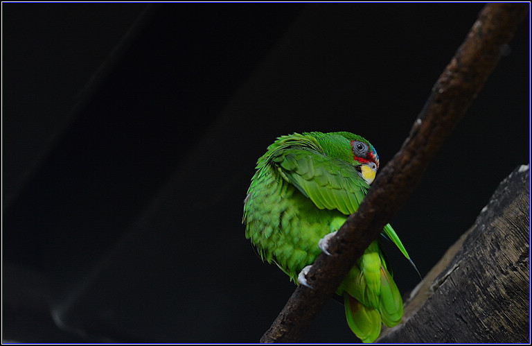 DSC_0175.jpg