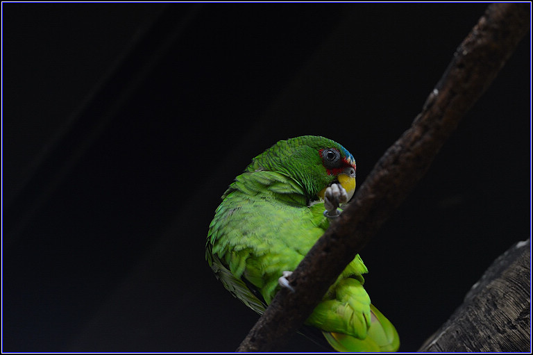 DSC_0149.jpg