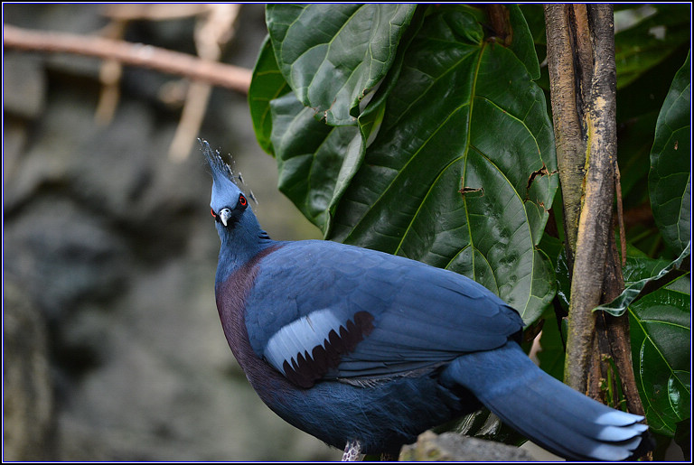DSC_0003.jpg