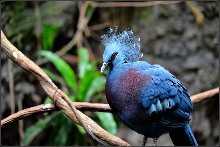 DSC_0019.jpg