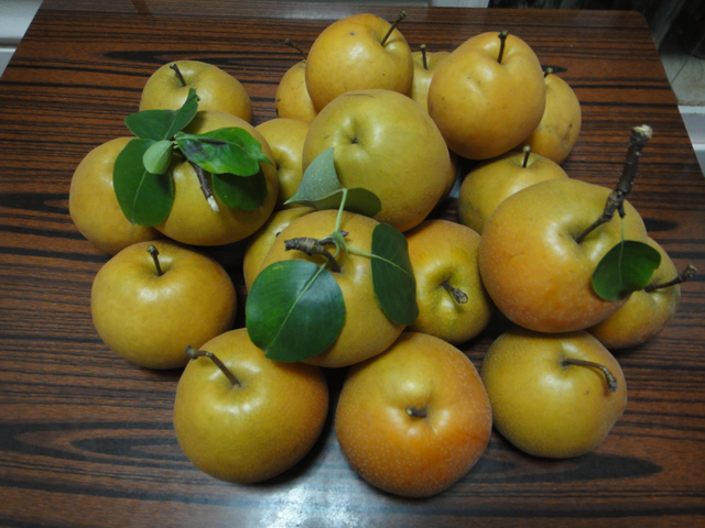 DSC00984.jpg
