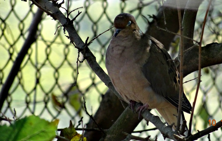 DSC01395.JPG