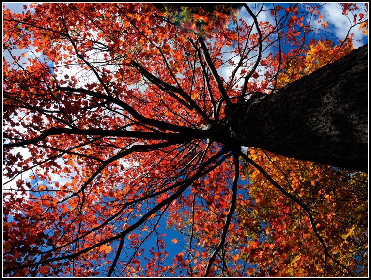 DSCN1387.jpg
