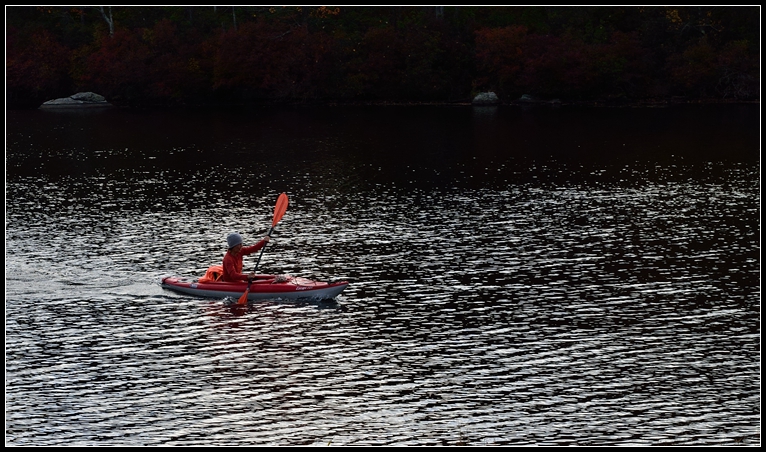 DSC_9771_����.jpg