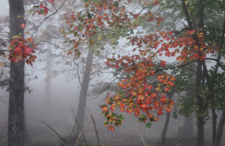 DSCN1077.jpg