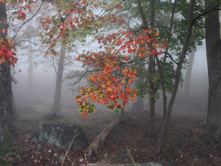 DSCN1078.jpg