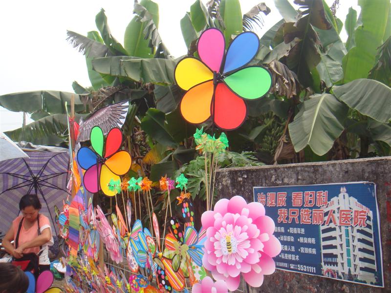 DSC04672 ().JPG