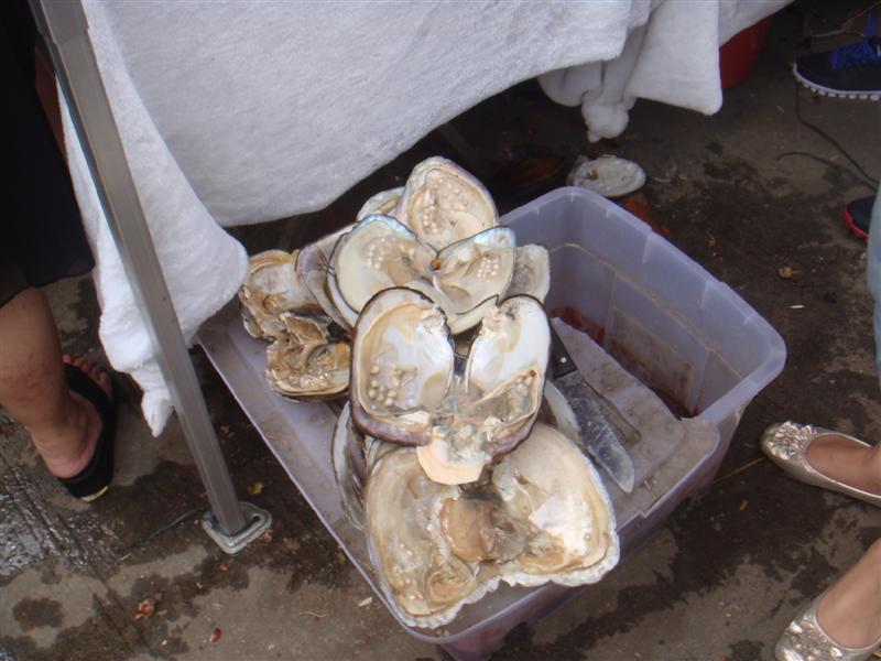 DSC04671 ().JPG