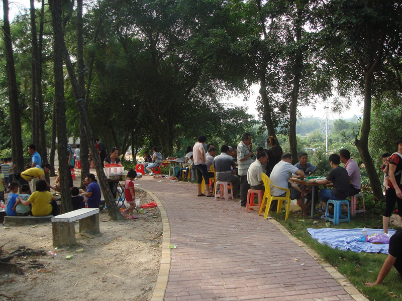 DSC02398_.jpg