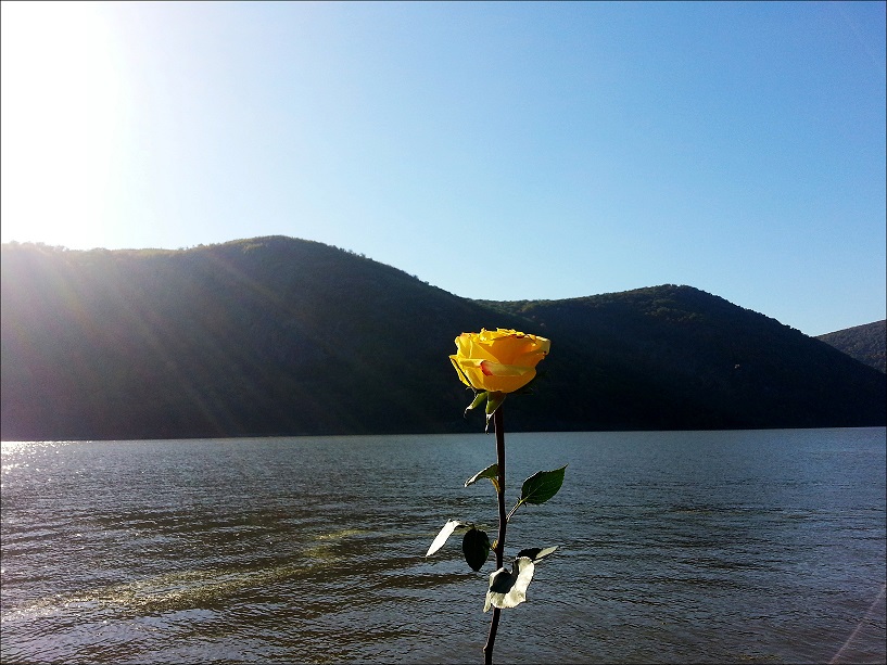 20131013_155051_conew1.jpg