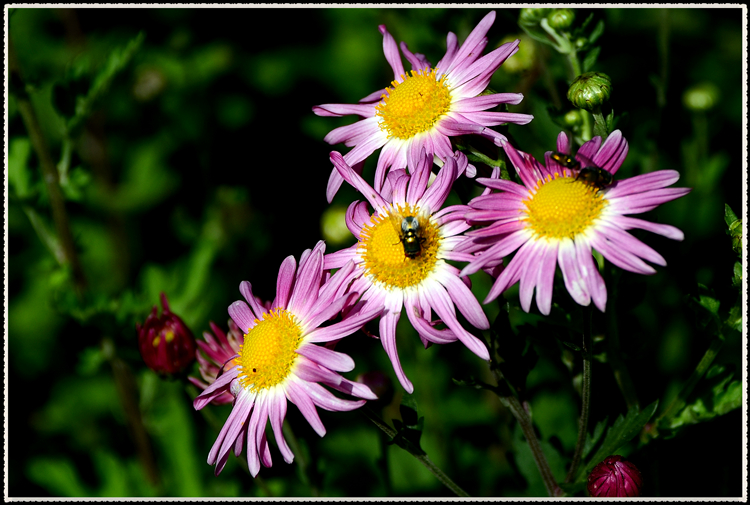DSC_0880.jpg