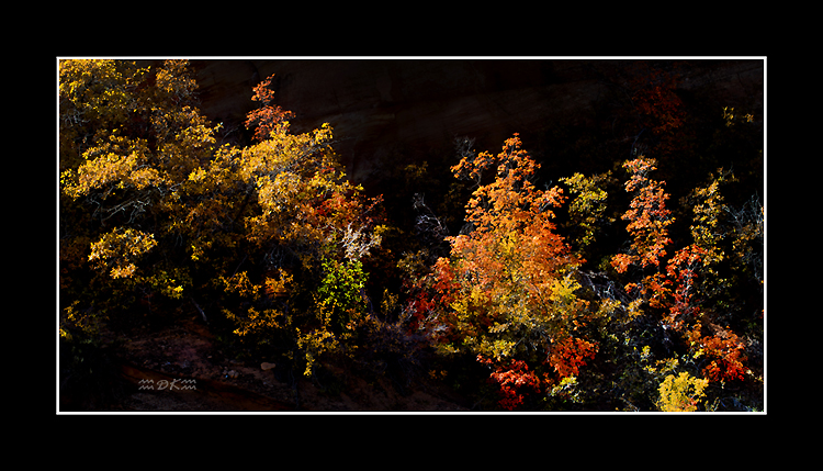 DSC_4326C.jpg
