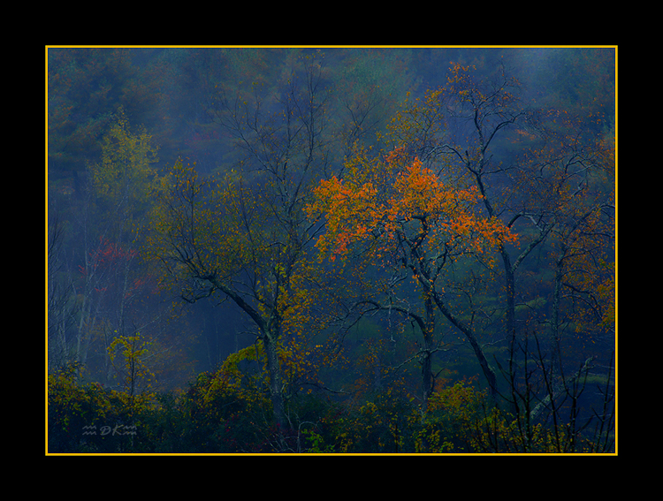 DSC_9823C.jpg