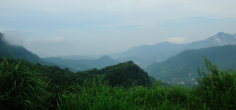 DSC_0209.jpg