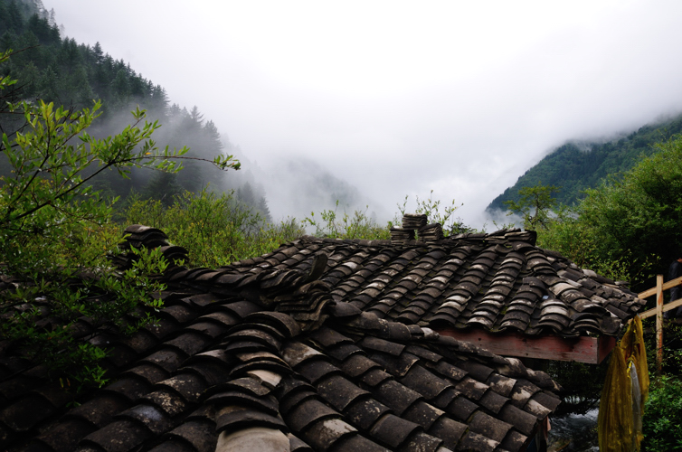 DSC_1250.jpg