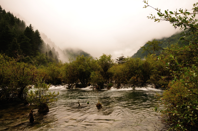 DSC_1255.jpg